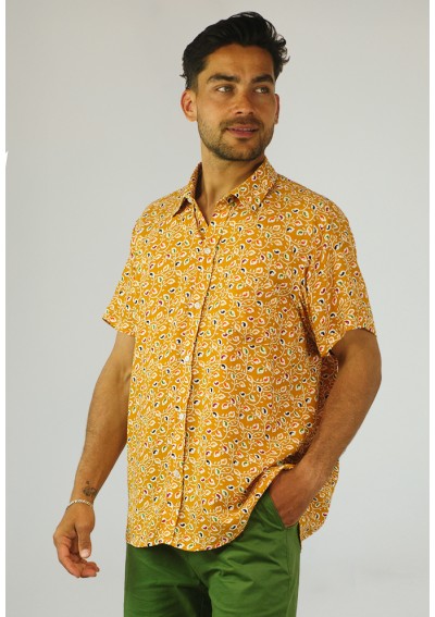 H CAMISA HOJITAS PW