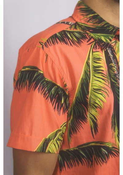 H CAMISA COTTON NATURE M/C